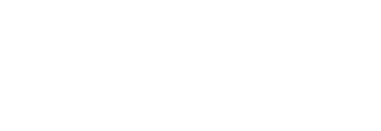 Andrus Advisory